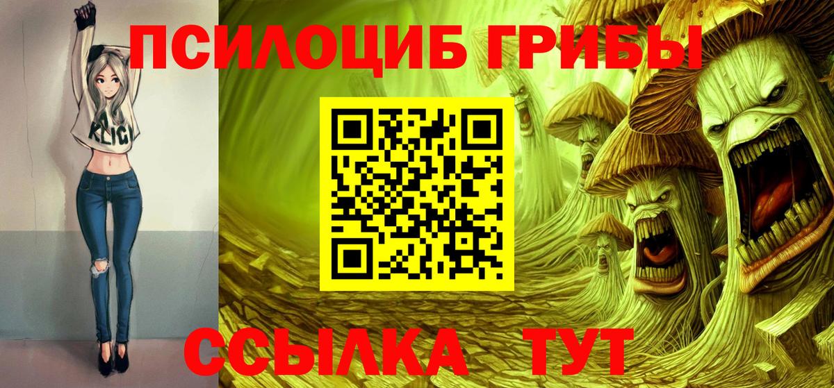 Псилоцибиновые грибы прущие грибы Чистополь