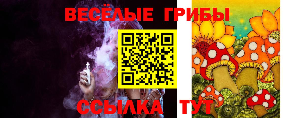 Чистополь  Галлюциногенные грибы прущие грибы  Вход с VPN 
